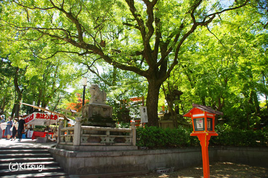 八坂神社2